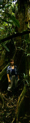 Rachel with a strangler fig